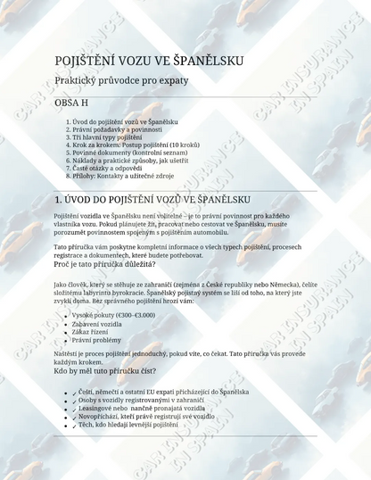 E-book Car Insurance in Spain