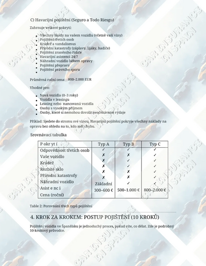 E-book Car Insurance in Spain