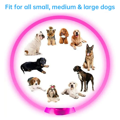 3-Mode LED Dog Collar - USB Rechargeable, Detachable & Glowing Pet Safety Necklace for Night