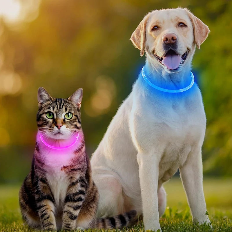 3-Mode LED Dog Collar - USB Rechargeable, Detachable & Glowing Pet Safety Necklace for Night